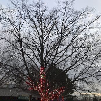 Indianapolis Zoo - Dancing lights - Zoos Near Me - Indianapolis, Indiana Indianapolis Zoo - Dancing lights - Zoos Near Me - Indianapolis, Indiana