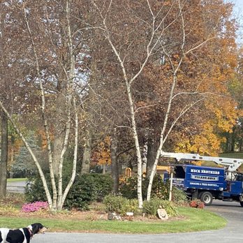 Heck Brothers Tree Service - Tree Services Near Me Heck Brothers Tree Service - Tree Services Near Me