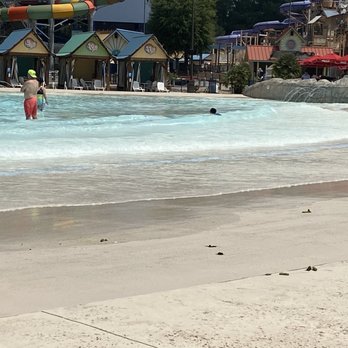 Six Flags Over Georgia - GEESE FECES being washed into the pool!!! - Amusement Parks Near Me - Austell, Georgia Six Flags Over Georgia - GEESE FECES being washed into the pool!!! - Amusement Parks Near Me - Austell, Georgia
