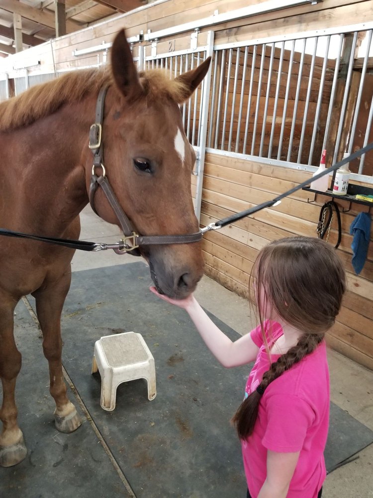 Klear Mont Farms - equestrian in Lakewood, WA