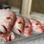Photo of Paul's Seafood Market