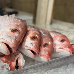 Paul's Seafood Market - Red snapper