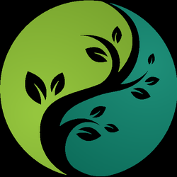 Charleston Holistic Medicine - Logo... showing balance in life and health