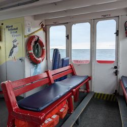 Bird Island Boat Tours