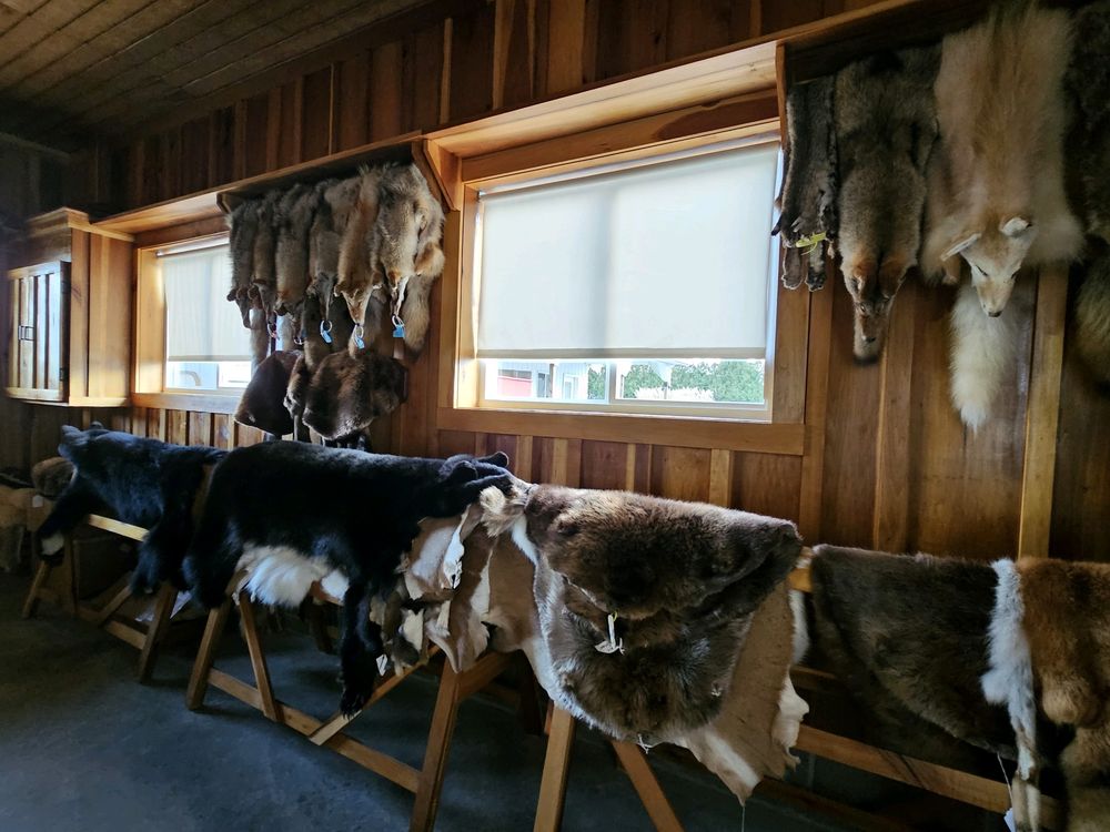 Weldy Hill Fur & Hide Tanning - taxidermy in Nappanee, IN
