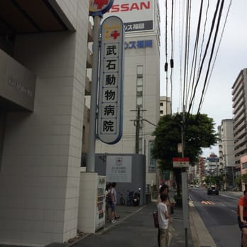 武石動物病院 平尾3丁目6 8 福岡市 中央区 福岡県 Japan Yelp