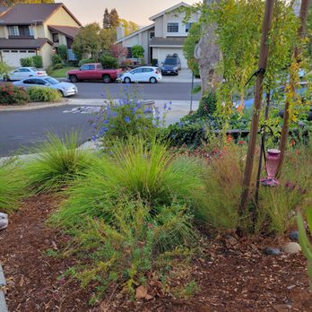 The Yard Guys Landscaping - Prune plants - Landscaping Near Me The Yard Guys Landscaping - Prune plants - Landscaping Near Me