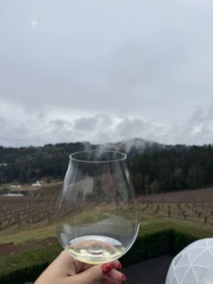 Winderlea Vineyard & Winery by null