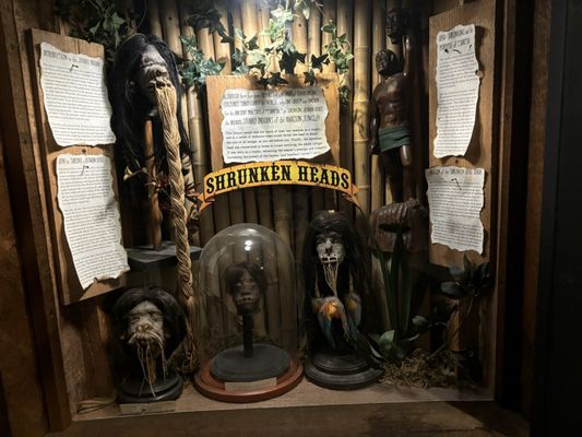 Museum of the Weird by null