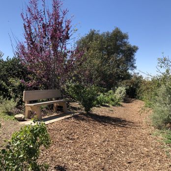Caroline Park - Parks Near Me - Redlands, California Caroline Park - Parks Near Me - Redlands, California