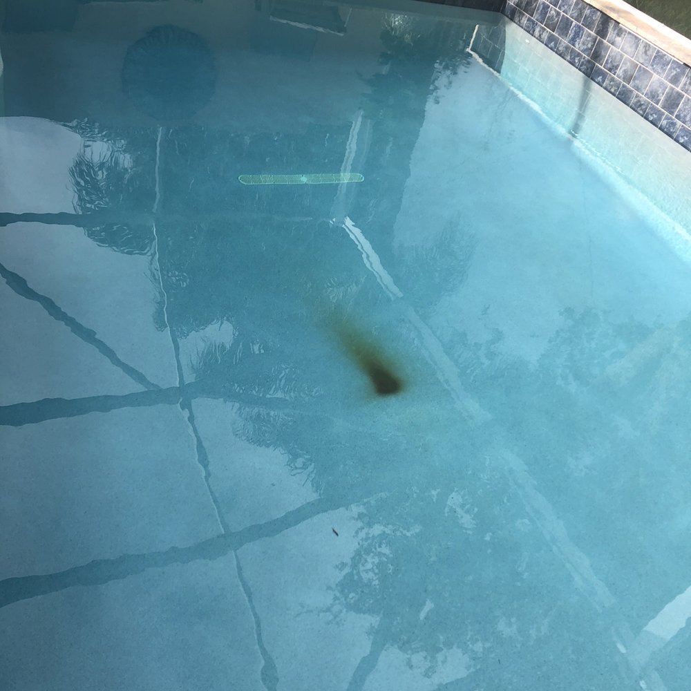 RHR Pools - RHR Installed pool after two years almost to the day. Poor workmanship on the gunite. Rebar rusting through the bottom of the pool - Pool & Hot Tub Service Near Me - Jupiter, Florida RHR Pools - RHR Installed pool after two years almost to the day. Poor workmanship on the gunite. Rebar rusting through the bottom of the pool - Pool & Hot Tub Service Near Me - Jupiter, Florida