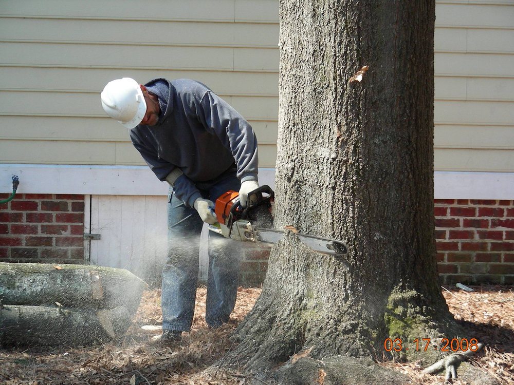 Greg Nelson Tree Service - tree service in Wake Forest, NC