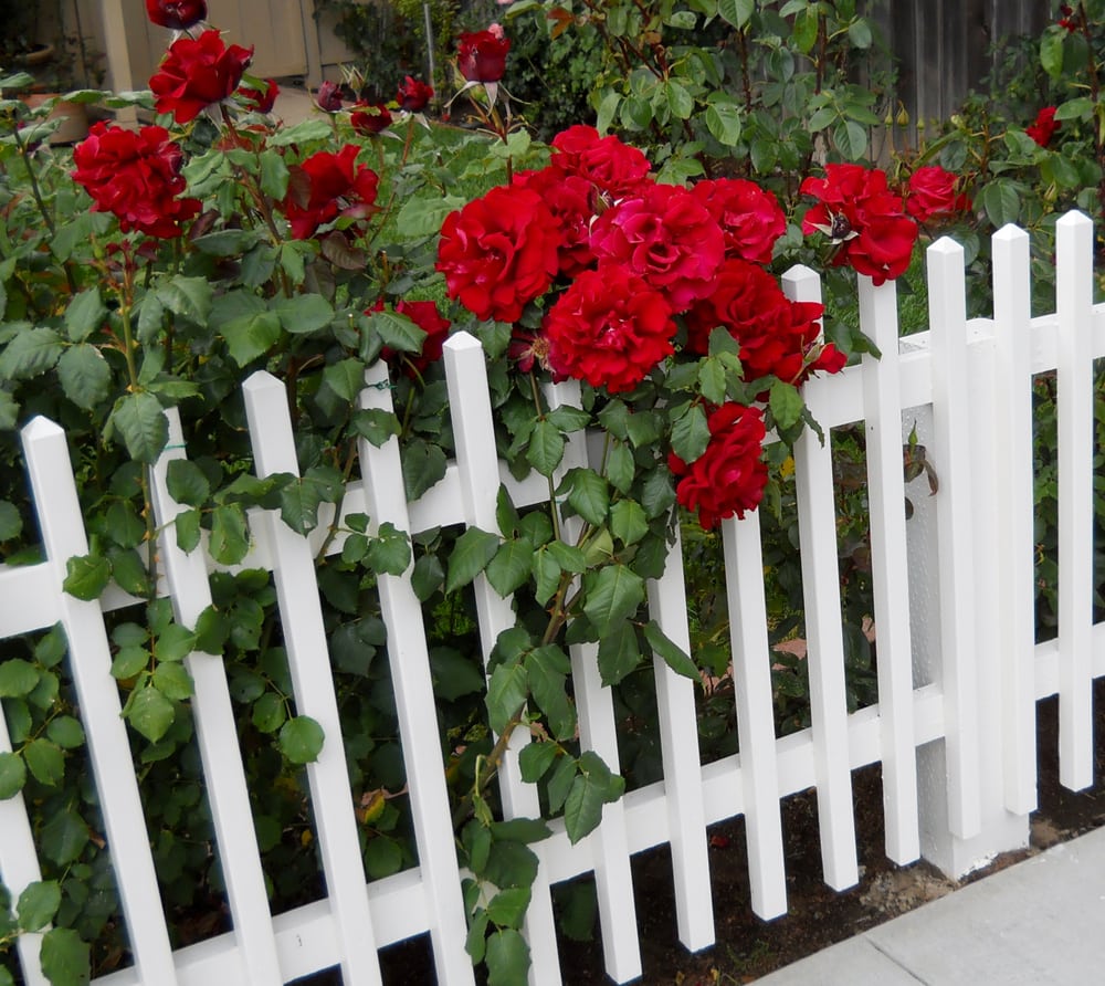 GROWQUEST GROWERS Updated August 2024 41 Reviews 590 W Main St