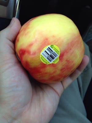 Trader Joe's by null