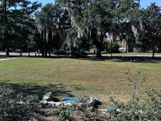 Landis Green by null
