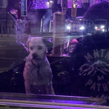 Hotel Utah Saloon - How much is that doggy in the window? - Music Venues Near Me - San Francisco, California Hotel Utah Saloon - How much is that doggy in the window? - Music Venues Near Me - San Francisco, California