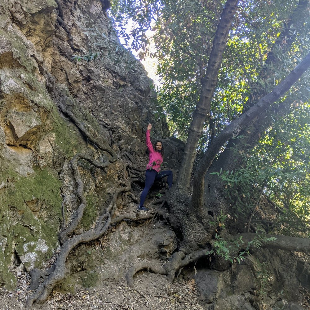 Millard Canyon - Parks Near Me - Altadena, California Millard Canyon - Parks Near Me - Altadena, California