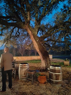 Becker Vineyards by null