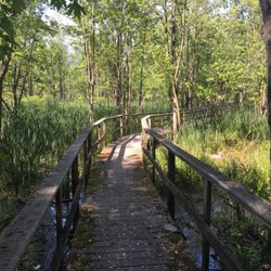 Thousand Acre Swamp