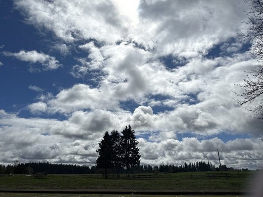 Champoeg State Park by null