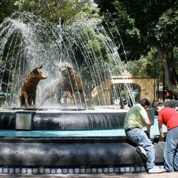 Journeys Beyond the Surface - Mexico City - Jardin Centenario, Coyoacán