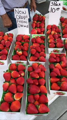 Downtown Oxnard Farmers Market by null