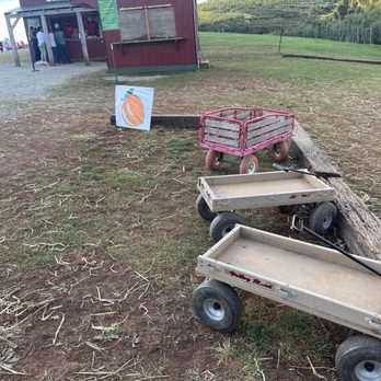 Carter Mountain Orchard - Pick Your Own Farms Near Me - Charlottesville, Virginia