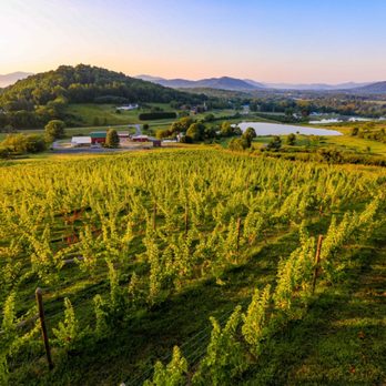 Ole Crow Tours - Wine Tours Near Me - Stanardsville, Virginia Ole Crow Tours - Wine Tours Near Me - Stanardsville, Virginia