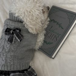 Chapter and Home