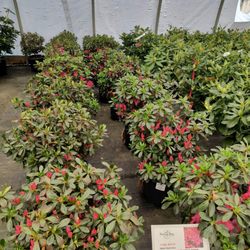 Kurtz Bros. Mulch & Soils
