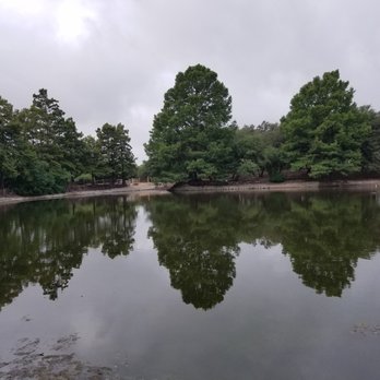 Denman Estate park - Parks Near Me - San Antonio, Texas