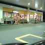 Photo of Shell
