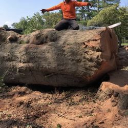 Parker’s Tree Removal