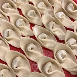 Golden Joy Hakka Restaurant - Chicken wontons