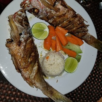Fayne's - Fried grouper...dont think it was grouper but good none the less - Bars Near Me - Isla Mujeres, ROO