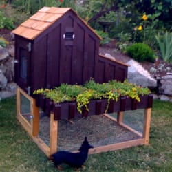 Saltbox Designs - Saltbox with living roof over run