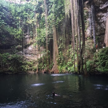 Cenote Ik Kil - Water is cool with little black fishies - Landmarks & Historical Buildings Near Me - Tinum, YUC