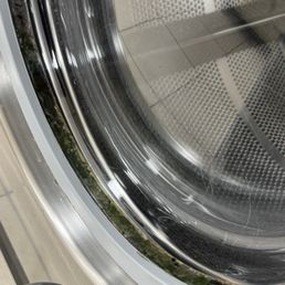 Green gunk in the rubber part of washing machines