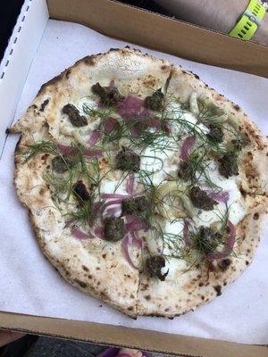 Mozzeria DC by null