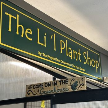 The Li'l Plant Shop - Nurseries & Gardening Near Me - Plainville, Connecticut The Li'l Plant Shop - Nurseries & Gardening Near Me - Plainville, Connecticut