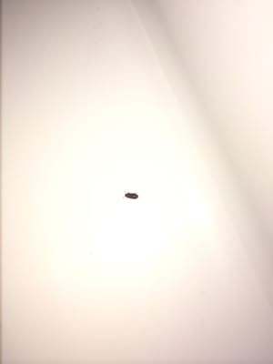 Mountain Modern Resort Sedona by null