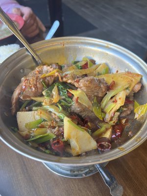 Han Dynasty by null
