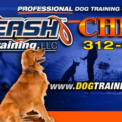 Off Leash K9 Training, Chicago