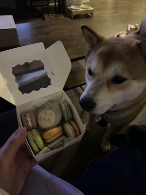 Asian Festival on Main