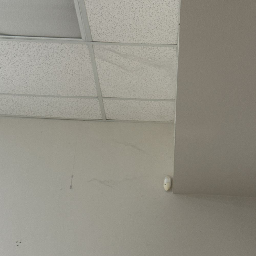 Spiders web everywhere! Spiders web everywhere!