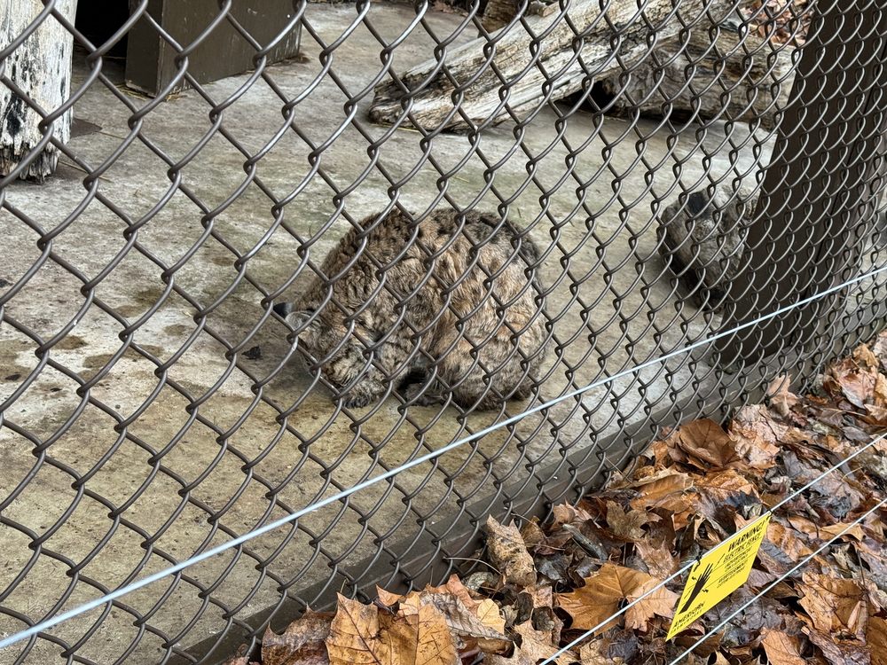 Brukner Nature Center