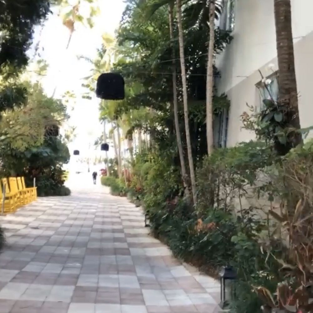 Kimpton Surfcomber Hotel - Walking into the beach club - Hotels Near Me - Miami Beach, Florida Kimpton Surfcomber Hotel - Walking into the beach club - Hotels Near Me - Miami Beach, Florida