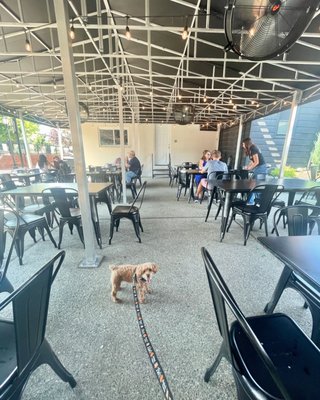 King's Road Brewing Company, Haddonfield by null