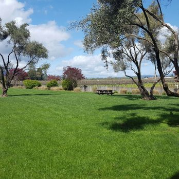 Rodney Strong Vineyards - Gorgeous picnic grounds - Wineries Near Me - Healdsburg, California Rodney Strong Vineyards - Gorgeous picnic grounds - Wineries Near Me - Healdsburg, California