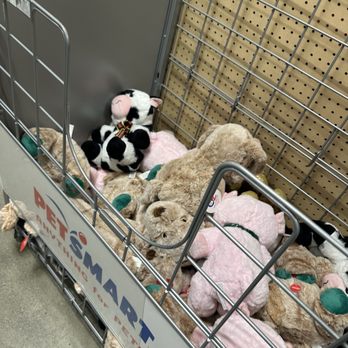 PetSmart - Pet Stores Near Me - Sherman Oaks, California